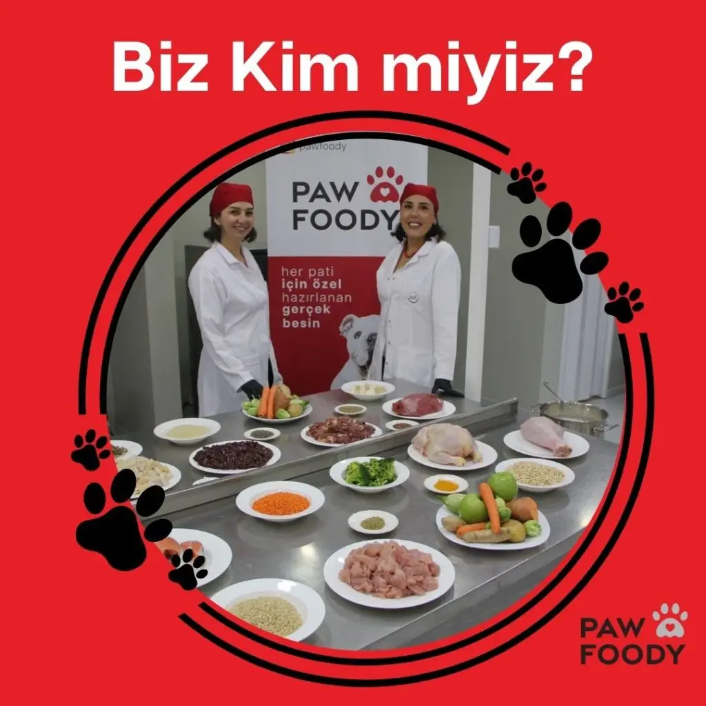 Biz Kim Miyiz 1024x1024