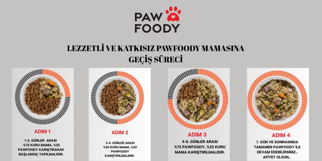 Kuru Mamadan Gecis 1024x512